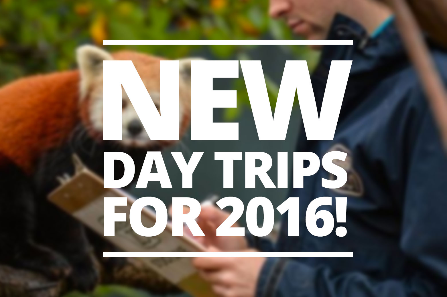 Maxfields Travel Rotherham Coach Trips 2016